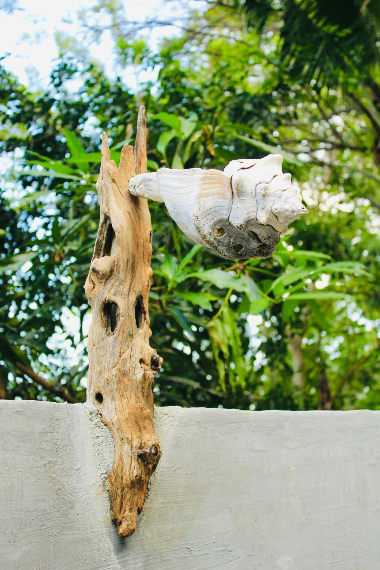 Hierba Buena Eco Hostel เอลไซโน ภายนอก รูปภาพ